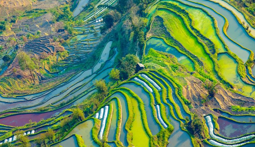 走进阿瓦提县TVC拍摄：解锁本地化场景与创意镜头的完美融合
